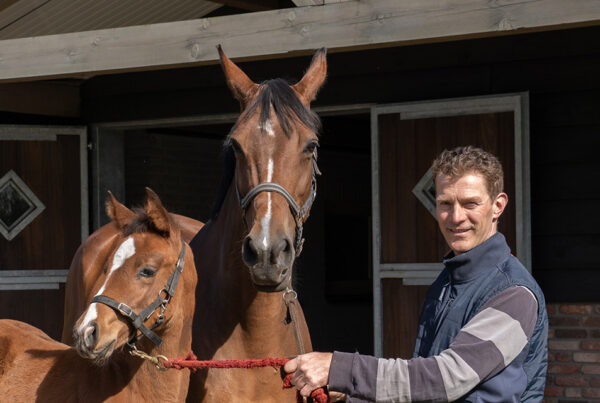 VDO Paardenstallen - Stal M&M - Ondernemend Meierijstad