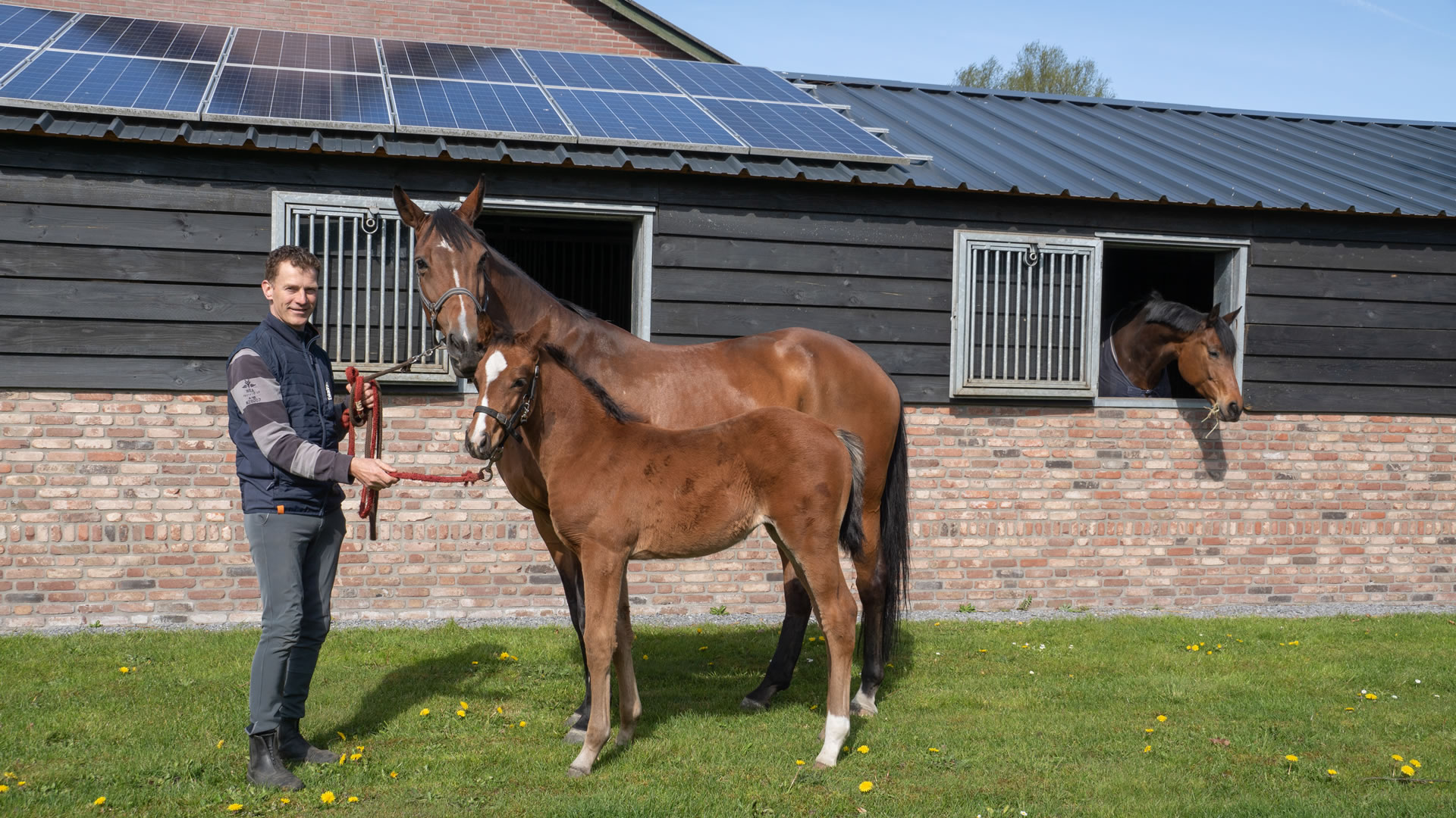 VDO Paardenstallen - Stal M&M